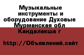 Музыкальные инструменты и оборудование Духовые. Мурманская обл.,Кандалакша г.